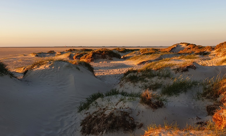 Ferienwohnung-NEMO-Ausflugsziele-StPeterOrding-Dünen-2